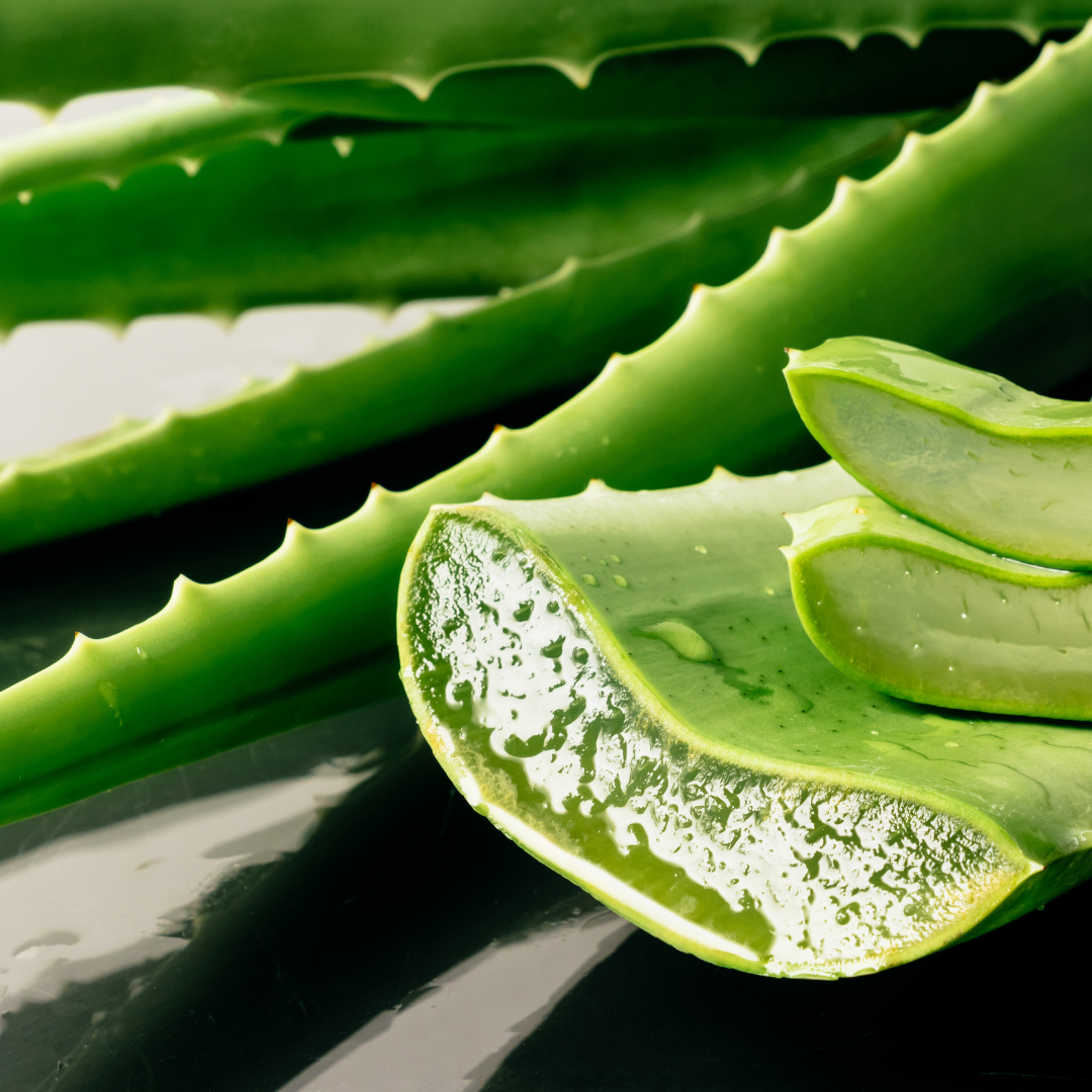 DIY Aloe Vera Beauty Hacks