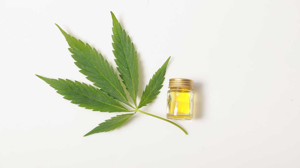 What is Cannabis Sativa Oil?